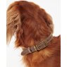 BARBOUR LEATHER DOG COLLAR