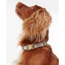 Barbour Reflective Dog Collar