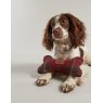 Joules Bone Toy