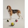 Joules Joules Outdoor Balls - 3pk