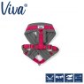 Ancol Ancol Viva Padded Harness - Small/36-42cm