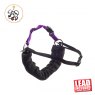 Ancol Ancol Pdl Harness & Lead - X Large