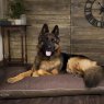 Scruffs Scruffs Hilton Orthopaedic Dog Matress - Large