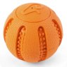 Zoon Zoon 6cm Rubber Squeak Ball