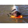 Sporting Saint (Acme) Dog Training Water Dummy