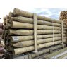 Treated Timber - Strainer Uc4 15yr - 2.7m 125-150mm