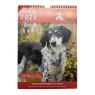 Ryedale Dog Rescue Charity 2025 Calendar Ryedale Dog Rescue Charity 2025 Calendar