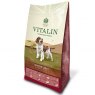 Vitalin Senior/lite Salmon & Potato - 12kg