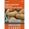 Charlotte Seed Potato - 10pk