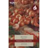 Shallot Red Sun - 12pk