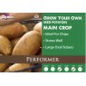 Performer Seed Potato - 2kg