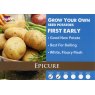 Epicure Seed Potato - 2kg