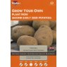Nicola Seed Potato - 10pk Nicola Seed Potato - 10pk