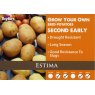 Estima Seed Potato - 2kg