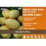 Marfona Seed Potato - 2kg
