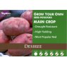 Desiree Seed Potato - 2kg