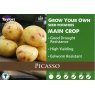 Picasso Seed Potato - 2kg