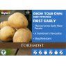 Foremost Seed Potato - 2kg