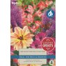 Taylors Bulbs Garden Greats Bees/ Cott - Garden Collection