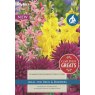 Taylors Bulbs Summer Gem Garden Collection