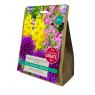 Taylors Bulbs Summer Gem Garden Collection