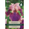 Iris Burggemeister Iris Burggemeister