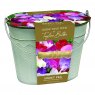 Sweet Pea Planter