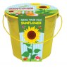 Taylors Bulbs Kids Grow Your Own Kit