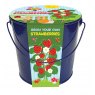 Taylors Bulbs Kids Grow Your Own Kit