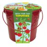 Taylors Bulbs Kids Grow Your Own Kit