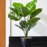 Smart Garden Products SG Faux Houseplant