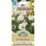 Mr Fothergill's Fothergills Wild Flower Ox Eye Daisy