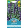 Mr Fothergill's Johnsons Agastache Astello Indigo
