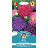Mr Fothergill's Fothergills Aster Ostrich Feather