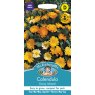 Mr Fothergill's Fothergills Calendula Mr F's Daisy Mixed