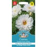 Mr Fothergill's Fothergills Cosmos Double Dutch White