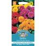 Mr Fothergill's Fothergills Dahlia Dwarf Double Mixed