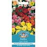 Mr Fothergill's Fothergills Dahlia Figaro Mixed