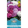 Mr Fothergill's Fothergills Dianthus Hollandia Mixed