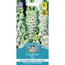 Mr Fothergill's Fothergills Foxglove Alba