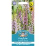 Mr Fothergill's Fothergills Foxglove Excelsior Mixed