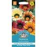 Mr Fothergill's Fothergills Gazania Sunshine Mixed