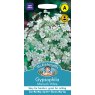 Mr Fothergill's Fothergills Gypsophila Monarch White