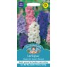 Mr Fothergill's Fothergills Larkspur Hyacinth Dwarf Mix