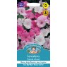 Mr Fothergill's Fothergills Lavatera Parade Mixed