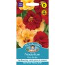 Mr Fothergill's Fothergills Nasturtium Paso Double