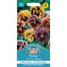 Mr Fothergill's Fothergills Pansy Frou Frou Mixed