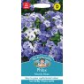 Mr Fothergill's Fothergills Phlox Moody Blues