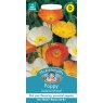 Mr Fothergill's Fothergills Poppy Iceland Mixed