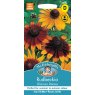 Mr Fothergill's Fothergills Rudbeckia Gloriosa Daisies